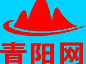 青陽網 青陽網