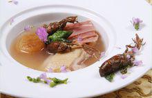 蟬花[《金蟬花》陳祝安等主編]