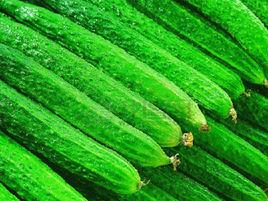 老黃瓜刷綠漆 老黃瓜刷綠漆