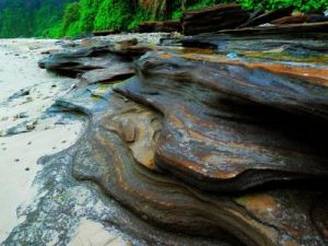 滴水丹屏 滴水丹屏