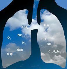 小兒急性肺炎 小兒急性肺炎