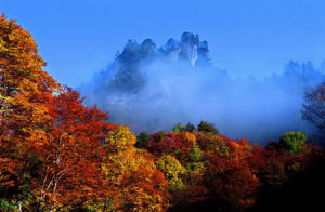 巴中光霧山紅葉節 巴中光霧山紅葉節