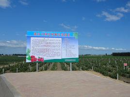 蓮江口鎮 蓮江口鎮