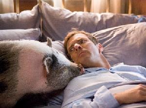 （圖）《歡樂滿堂》