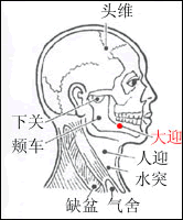 氣舍穴穴點陣圖