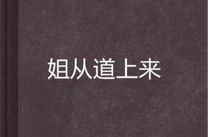 姐從道上來[犀利姐創作小說]