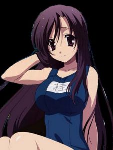 school days[TNK公司製作的動畫作品]