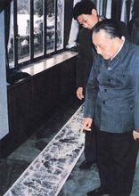 小平同志觀看陳冰心的《萬水千山&middot;長征頌》