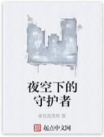 夜空下的守護者 夜空下的守護者