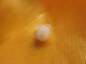 467~527僧旻真身舍利