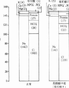 陰離子隙 陰離子隙