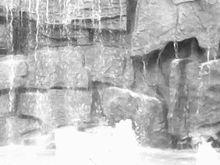 你不知道的紫荊公園