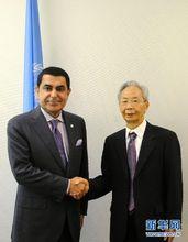 聯大主席納賽爾會見王彥峰