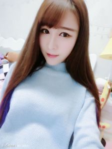 膜翅目瘤腿泥蜂科 膜翅目瘤腿泥蜂科