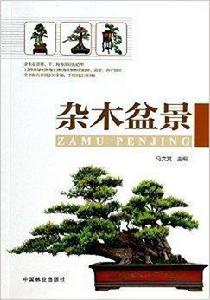 雜木盆景 雜木盆景