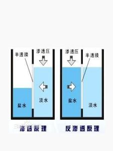 反滲透 反滲透