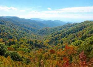 （圖）美國大提頓國家公園