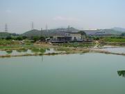 （圖）塱原濕地