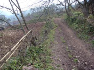 拉崩河村 拉崩河村