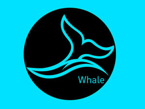 古鯨品牌設計 古鯨品牌設計