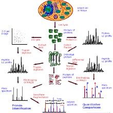 生物化學與分子生物學專業 生物化學與分子生物學專業