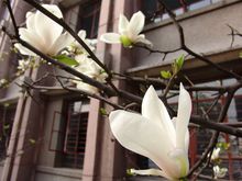 內江職業技術學院