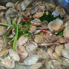 白葡萄酒煮蛤蜊