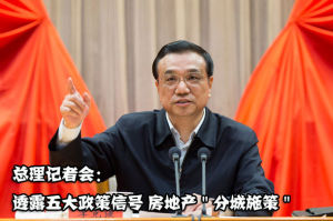 因城施策 因城施策