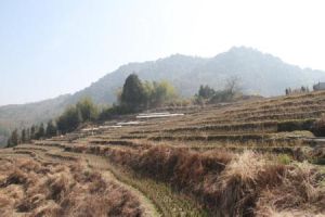 長征自然村 長征自然村