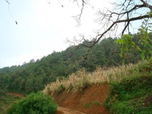 上武燕自然村 上武燕自然村