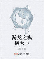 游龍之縱橫天下 游龍之縱橫天下