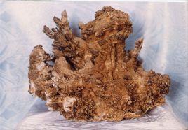 三峽奇石 三峽奇石