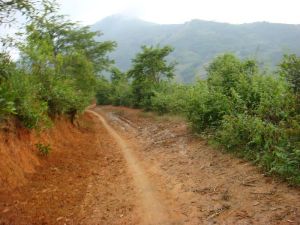 石隊窩自然村 石隊窩自然村