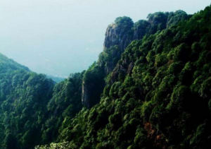 均峰山自然保護區