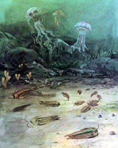 太古代時期 太古代時期