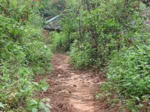 黃草嶺三村 黃草嶺三村