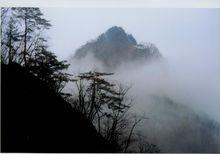 青龍山森林公園