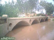 南台子村[河北省廊坊市永清縣南台子村]