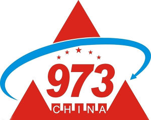 973 973