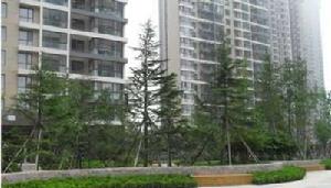 麥島家園 麥島家園