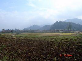 天星小雲村 天星小雲村