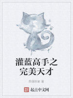 灌藍高手之完美天才 灌藍高手之完美天才