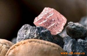 巨型粉鑽 巨型粉鑽