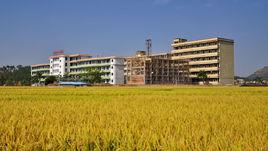 雲潭社區 雲潭社區