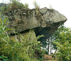 懷集三岳自然保護區 懷集三岳自然保護區