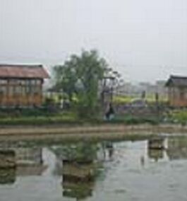 大水彝族苗族布依族鄉