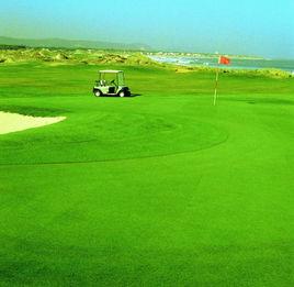 青島國際高爾夫球場 青島國際高爾夫球場