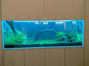 迪茨[浙江台州家居品牌]