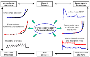 分子內重排作用 分子內重排作用
