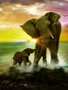 《大愛》 《大愛》